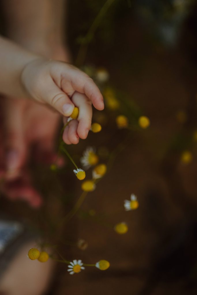 séance-famille-besançon (4)